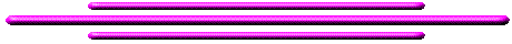 Triple Purple Stripe